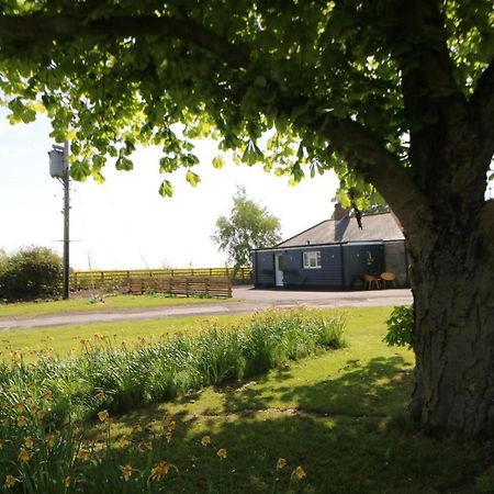 The Bungalow Newcastle Upon Tyne Exterior foto